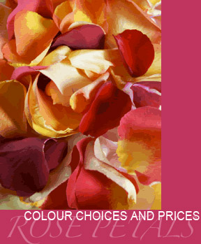 Colour-Choices-and-Prices