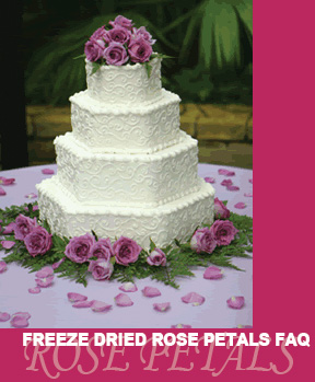 FAQ-Rose-Petal-Cake